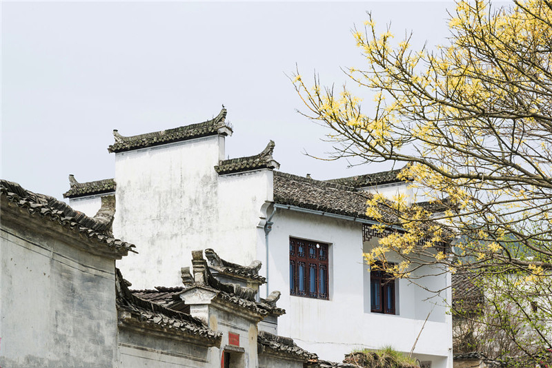 馬頭墻—中國江南傳統民居建筑特色元素