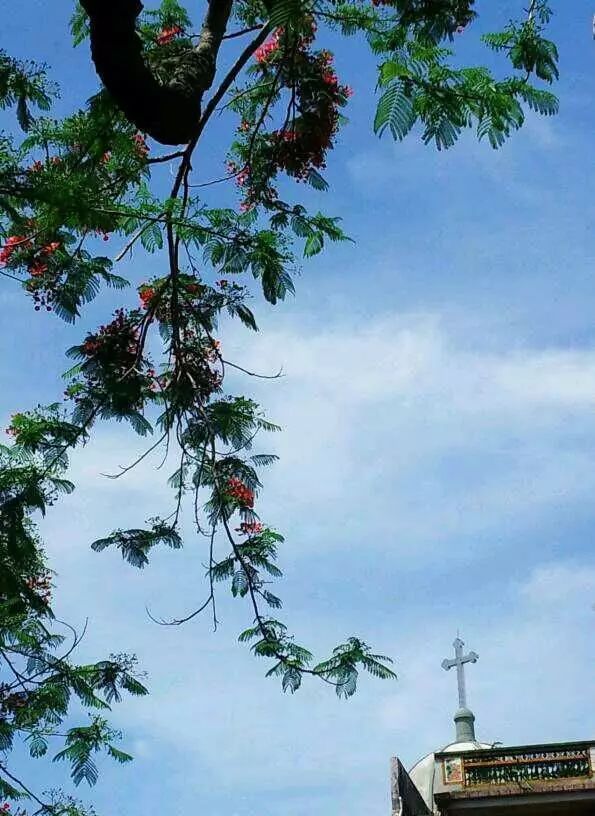 棉湖掠影， 古鎮(zhèn)情懷