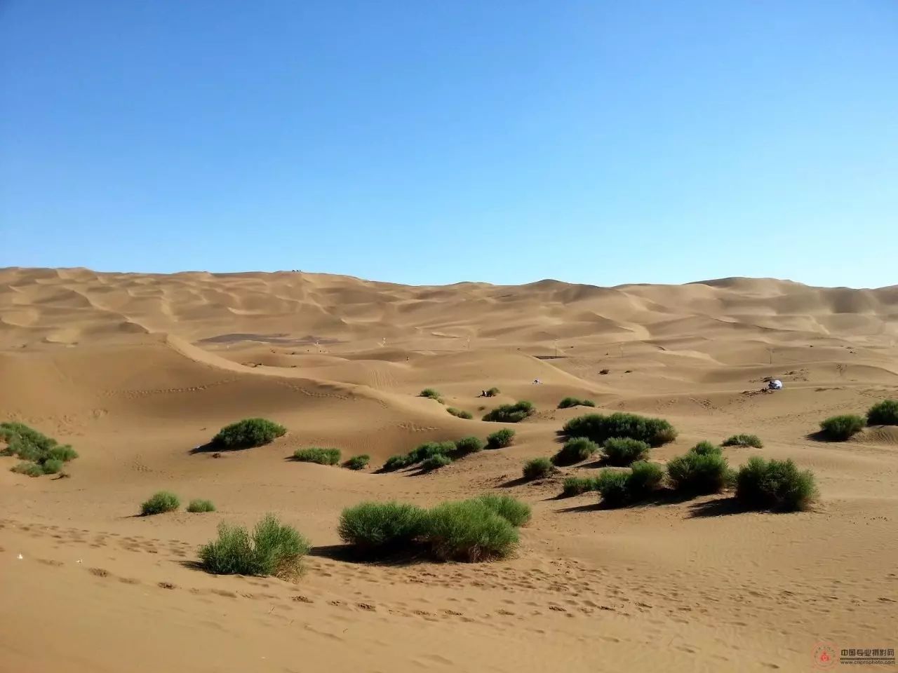 雕塑之魂:從干裂的土地上,尋找生命的意義