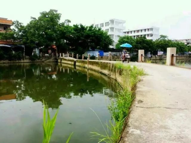 棉湖掠影， 古鎮情懷
