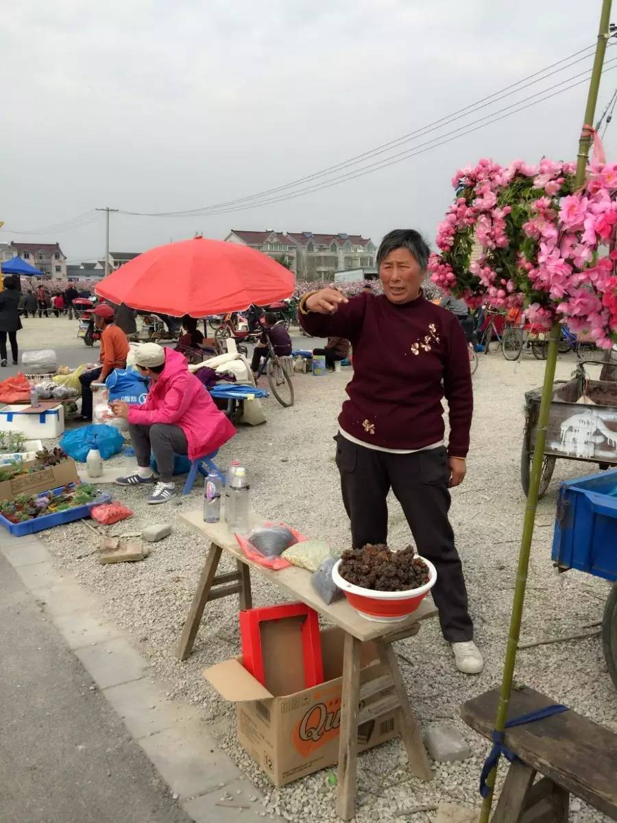 古鎮之外的新場,或許更有新意