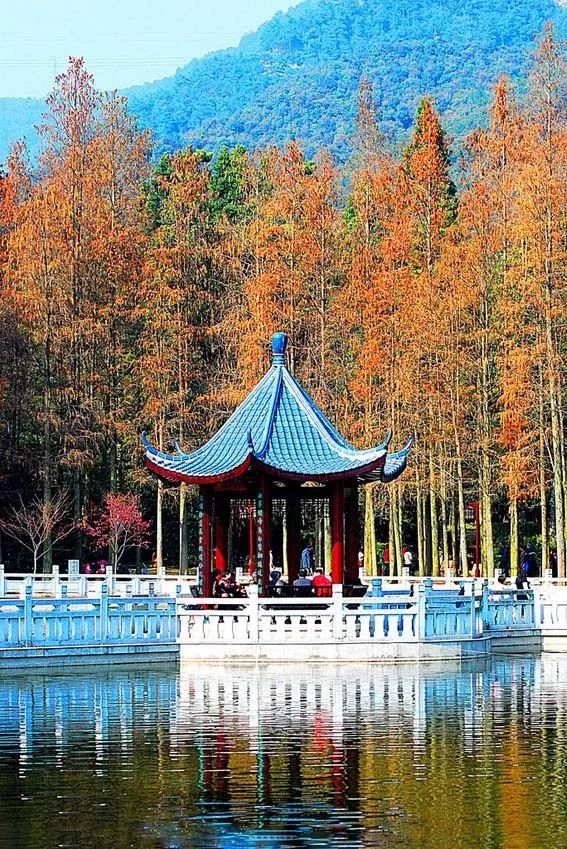 中國最美古建筑，你都認識嗎？