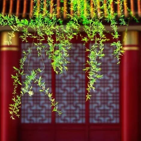 雄峙數(shù)千年的古建筑，歷史古建筑風情萬種！