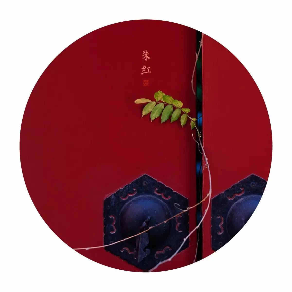 中國最美的配色：紫禁城古建筑的色彩美！