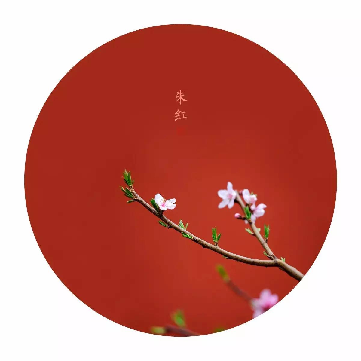 中國最美的配色：紫禁城古建筑的色彩美！