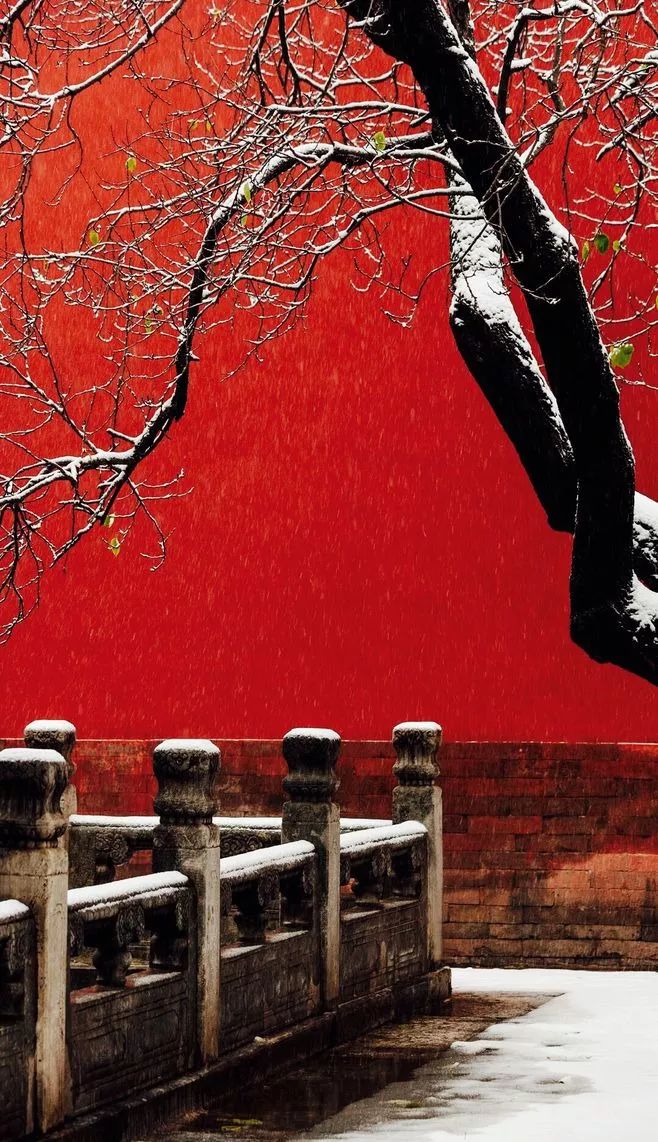 最美中國古建筑：紫禁城下雪了！