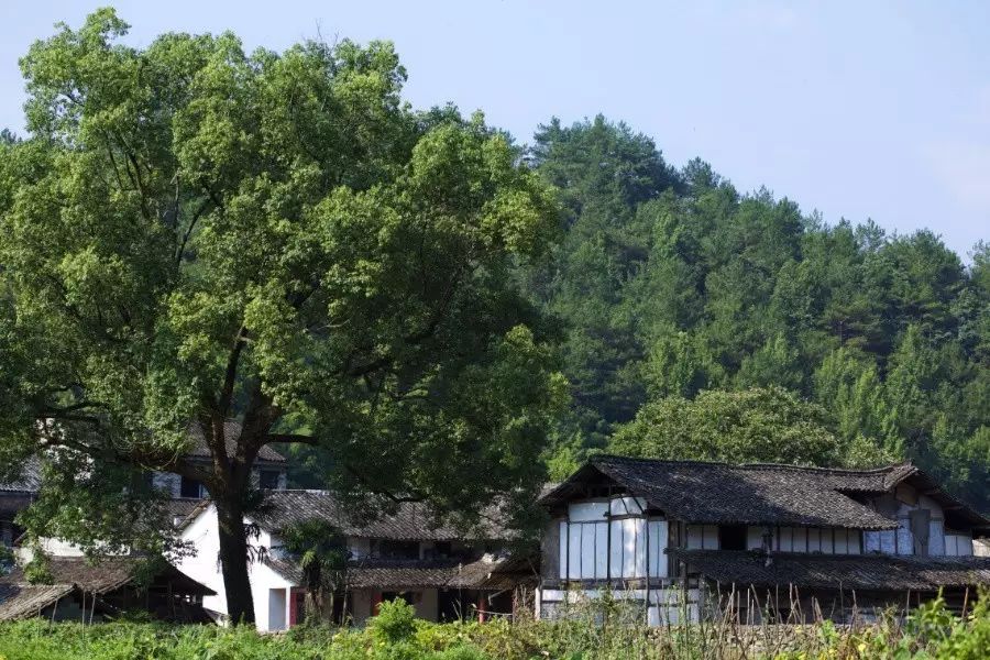 中國古建筑，千年古村不會消失但卻只剩下老房