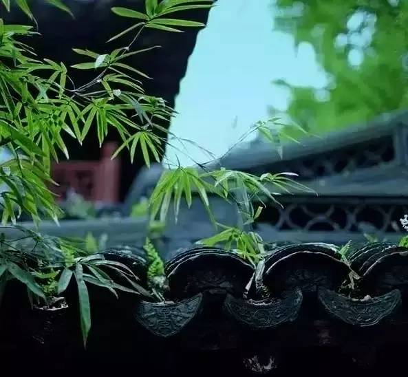 古建筑，一片瓦，遮風擋雨