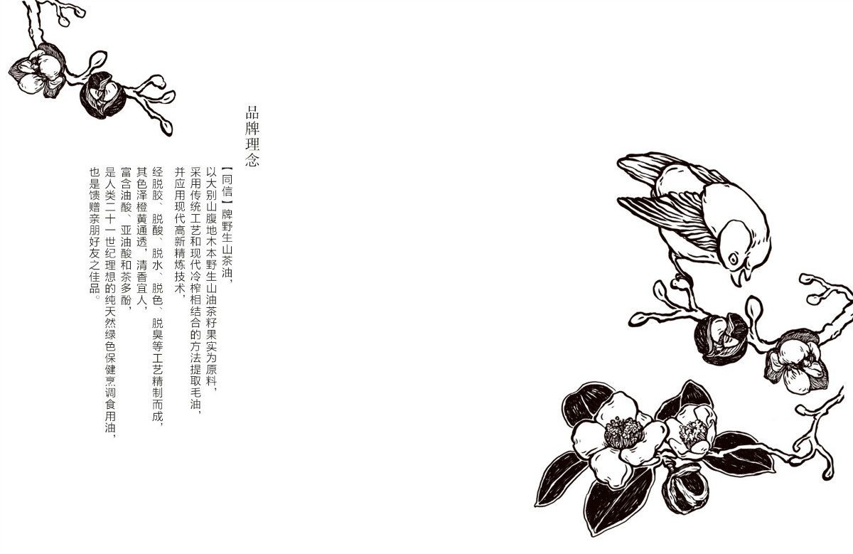 山茶油包裝設計，手繪圖案食品包裝設計