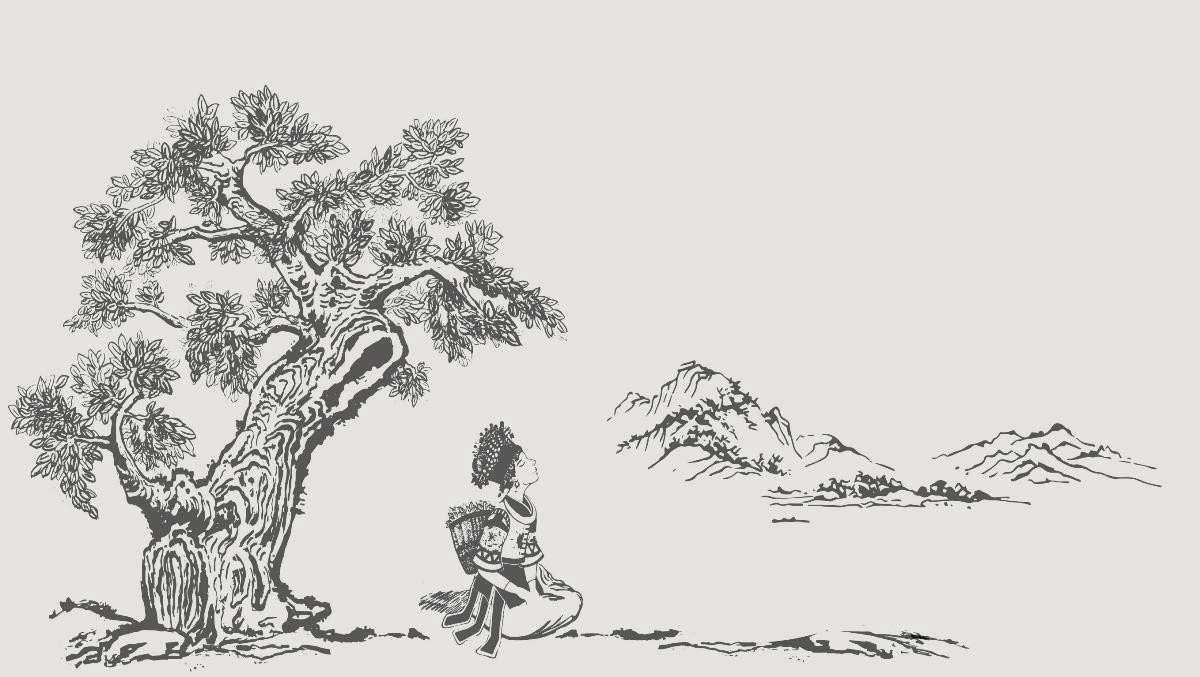 貴州民族特色包裝設計，古樹茶葉包裝設計