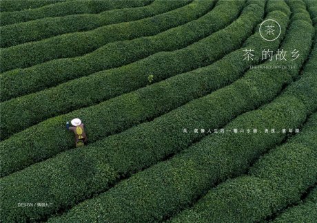 《茶的故鄉》創意茶葉包裝設計