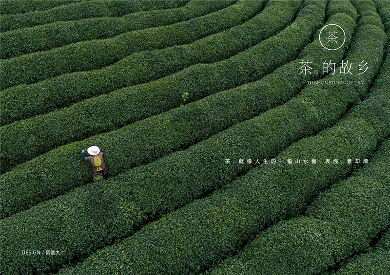 《茶的故鄉》創意茶葉包裝設計