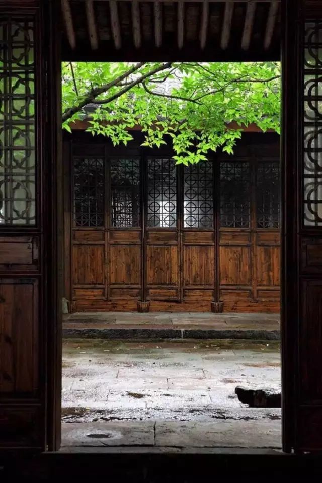 小院情結：尋一處庭院與你白頭偕老