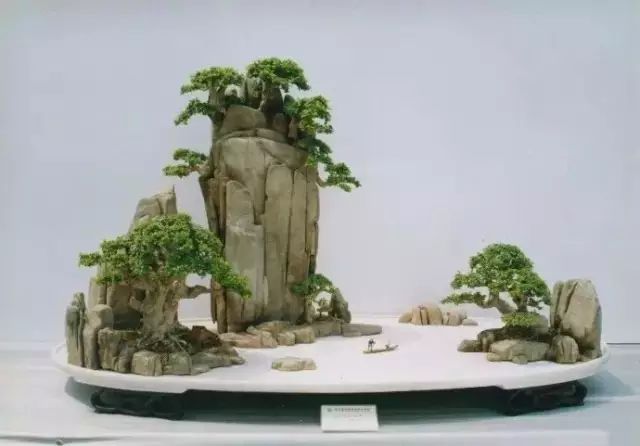 讓人驚嘆的盆景藝術：世界上最貴盆栽盆景