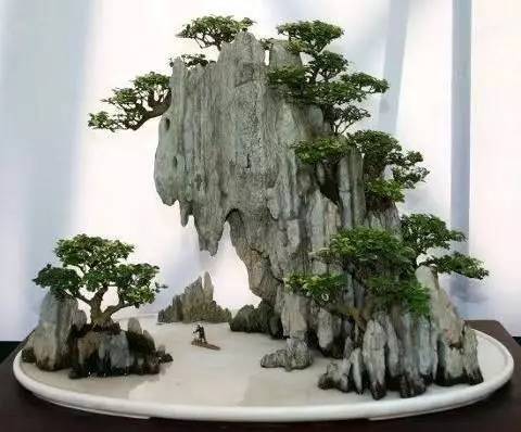 讓人驚嘆的盆景藝術：世界上最貴盆栽盆景