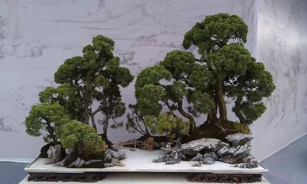 讓人驚嘆的盆景藝術：世界上最貴盆栽盆景