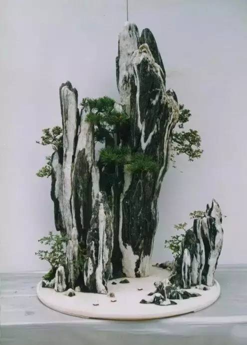 讓人驚嘆的盆景藝術：世界上最貴盆栽盆景