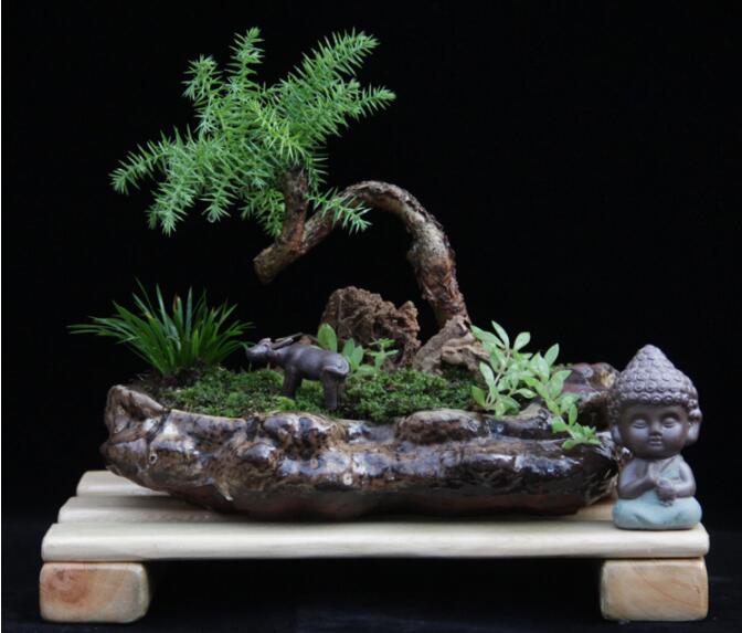 高檔水石藝術組合，綠植微景觀旱盆盆景