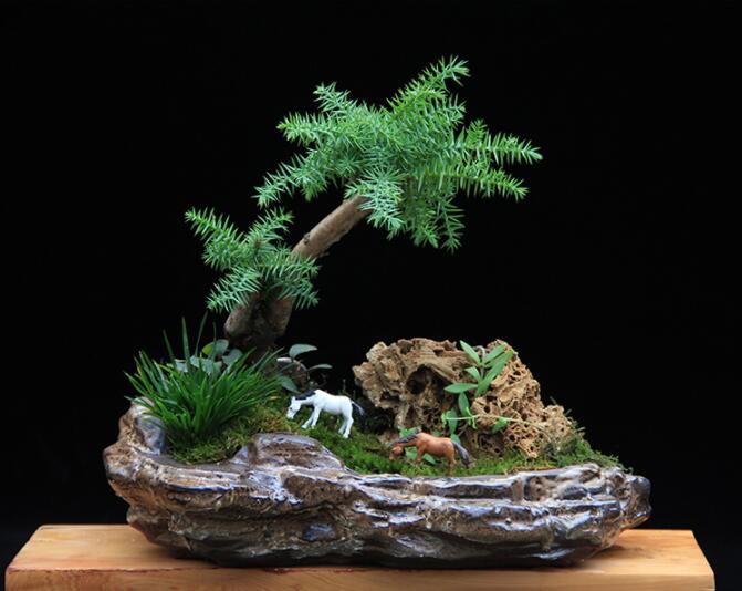 高檔水石藝術組合，綠植微景觀旱盆盆景