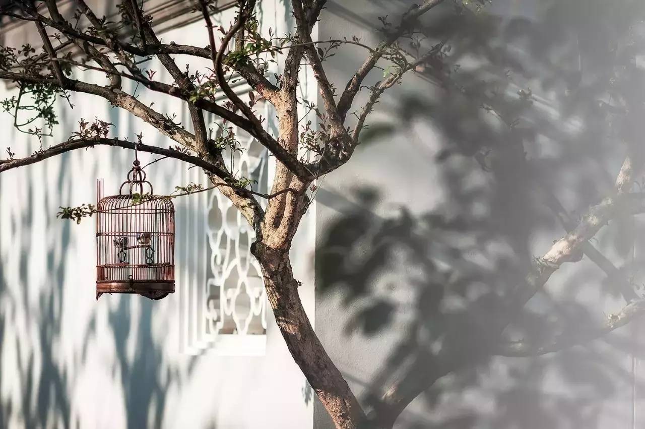 古典園林設計，精致的東方審美