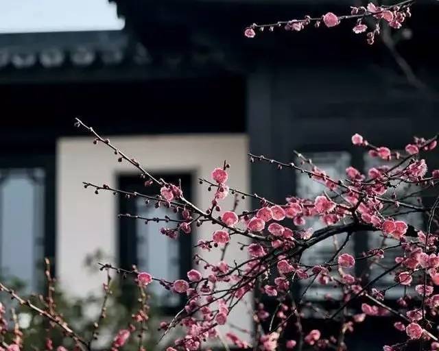 古典園林設計，精致的東方審美