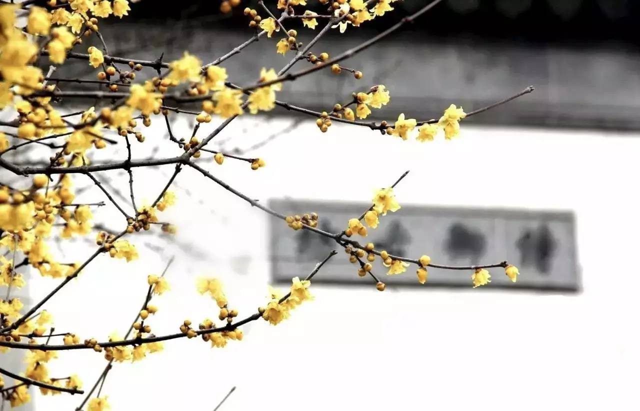 古典園林設計，精致的東方審美