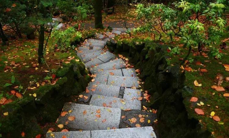 園林景觀：日本古典園林藝術淺析