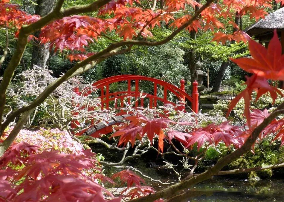 園林景觀:日本古典園林藝術淺析