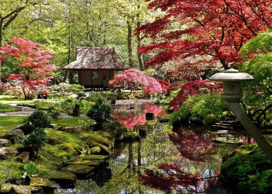 園林景觀:日本古典園林藝術淺析