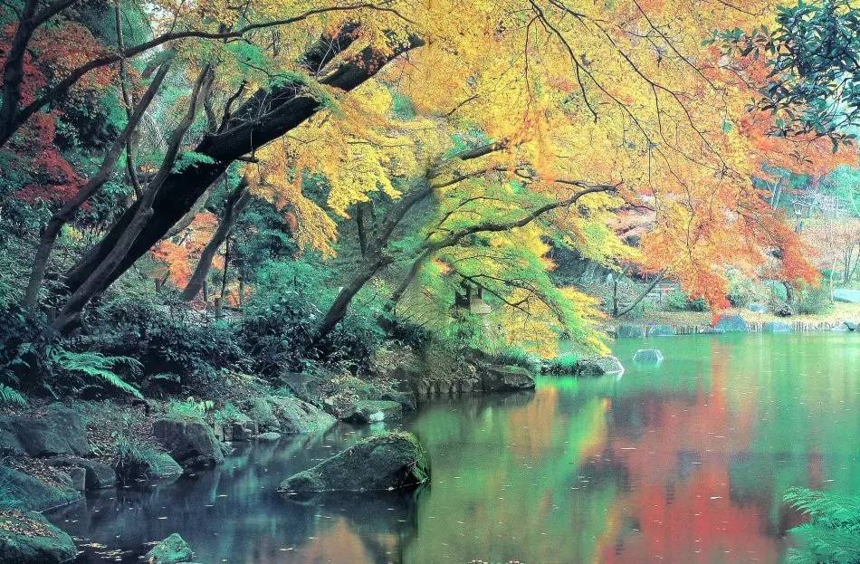 園林景觀：日本古典園林藝術淺析