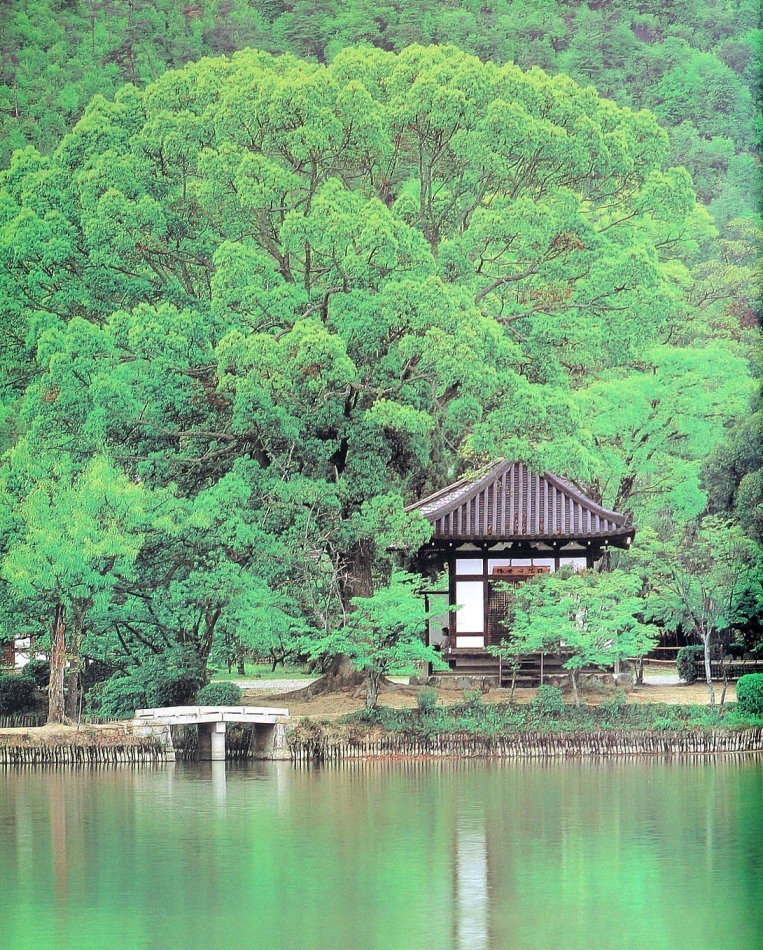園林景觀:日本古典園林藝術淺析