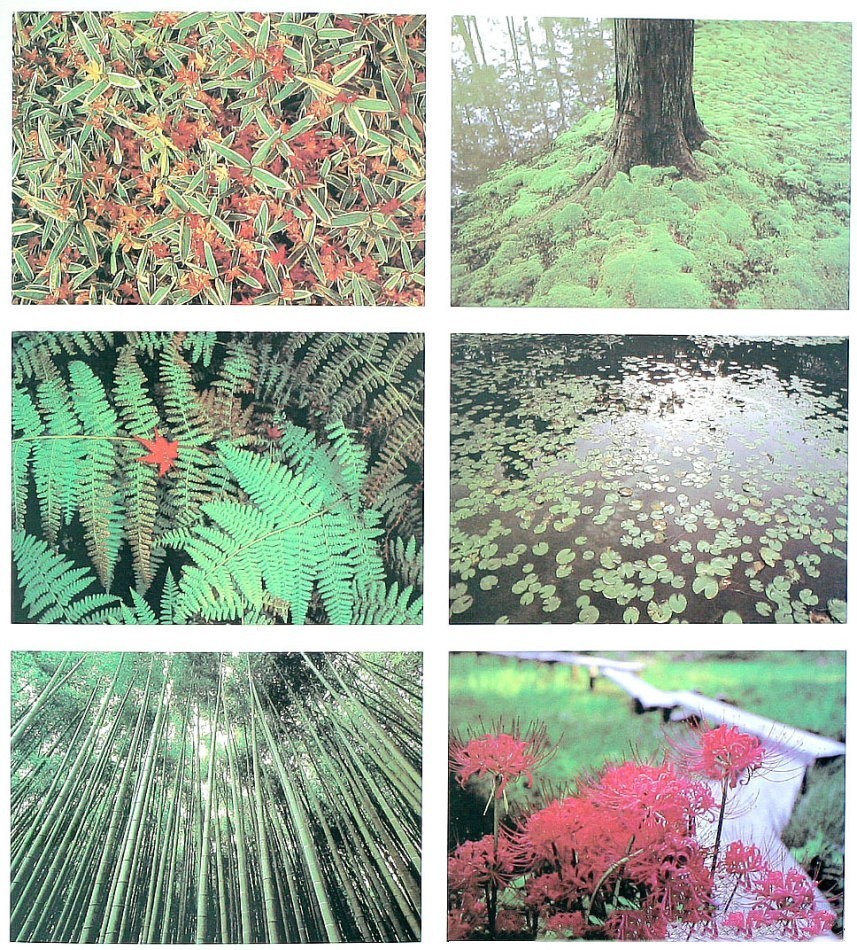 園林景觀：日本古典園林藝術淺析