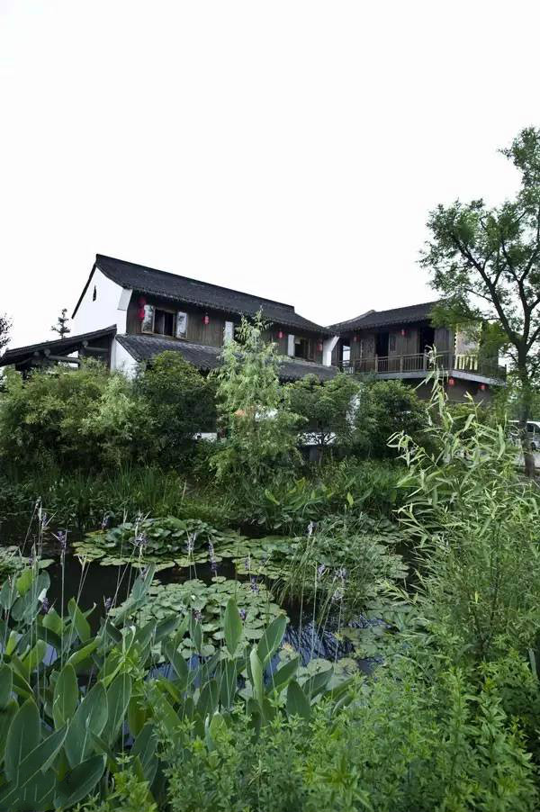 杭州西溪濕地不一樣的風景