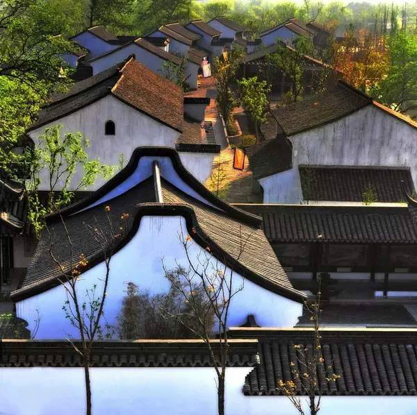 杭州西溪濕地不一樣的風景