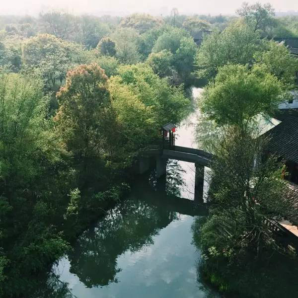 杭州西溪濕地不一樣的風景