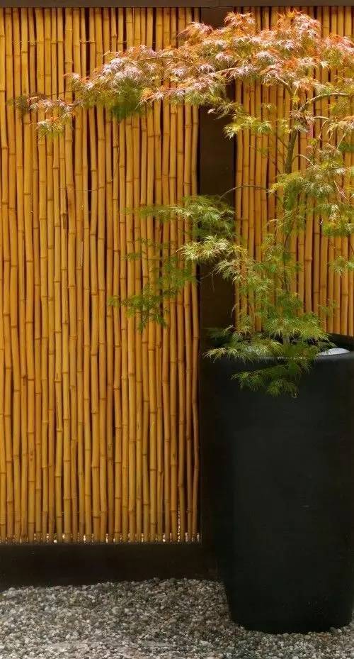 庭院設(shè)計，竹子在庭院中造景的運(yùn)用