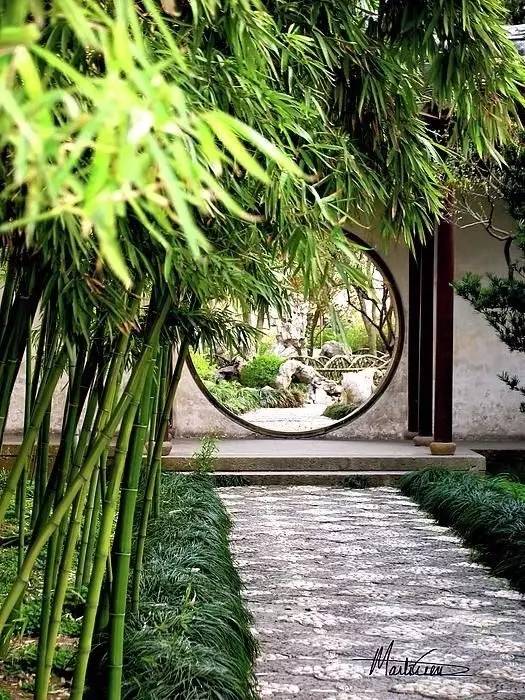 庭院設(shè)計，竹子在庭院中造景的運用