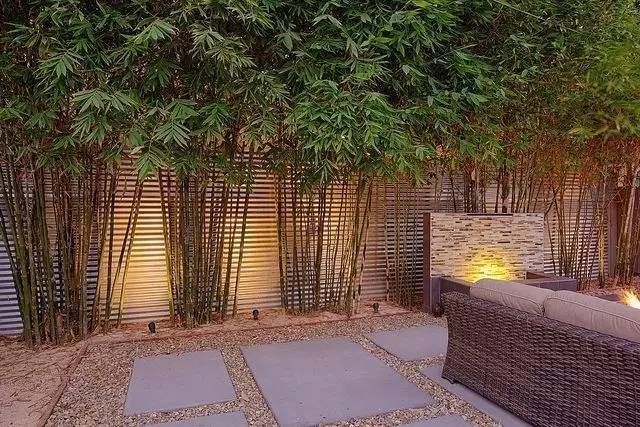 庭院設(shè)計(jì)，竹子在庭院中造景的運(yùn)用
