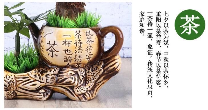 中國風發財樹盆景