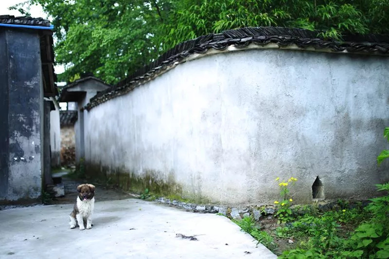 黃山·舊街墨野，浸染徽文化的地方