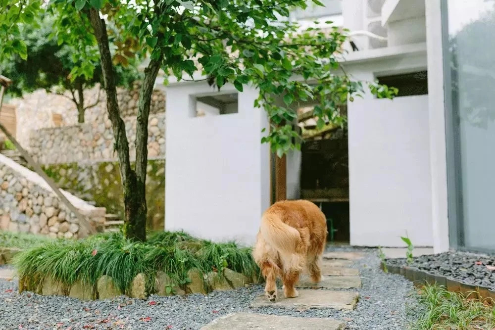 千島湖|傾境，慢生活消磨著自己的時光