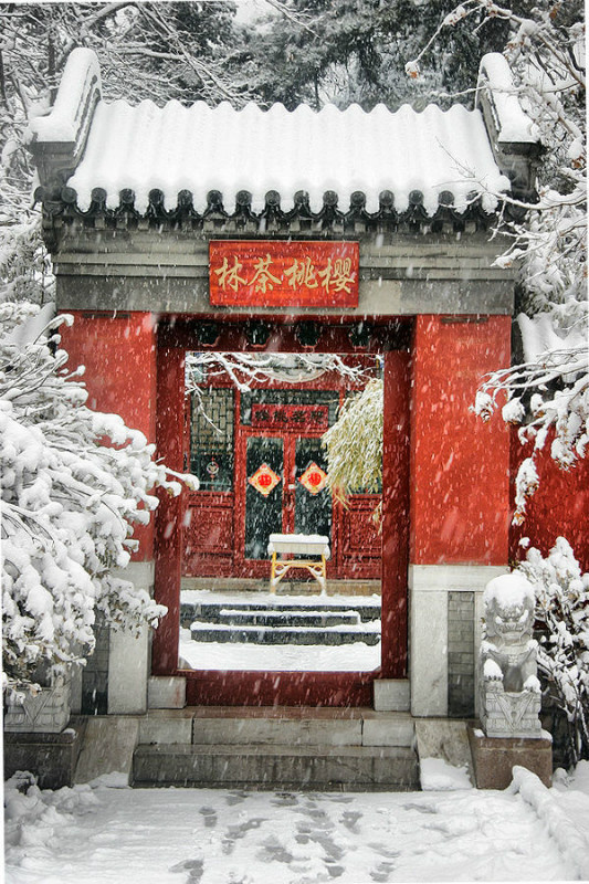 一組流淌著歲月的中國門，美呆了！
