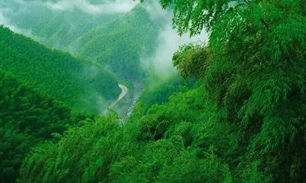 安吉·仁里息心廬，擁泉而居枕山而眠!