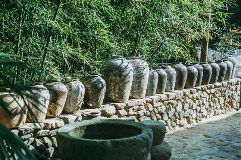 莫干山·柒竹悠南山，安靜的世外桃源