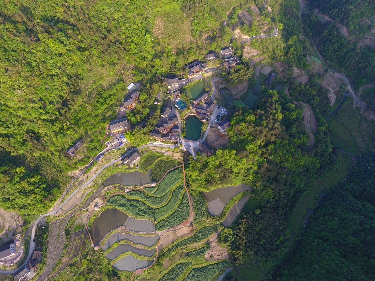 張家界·五號山谷，山谷在重生！