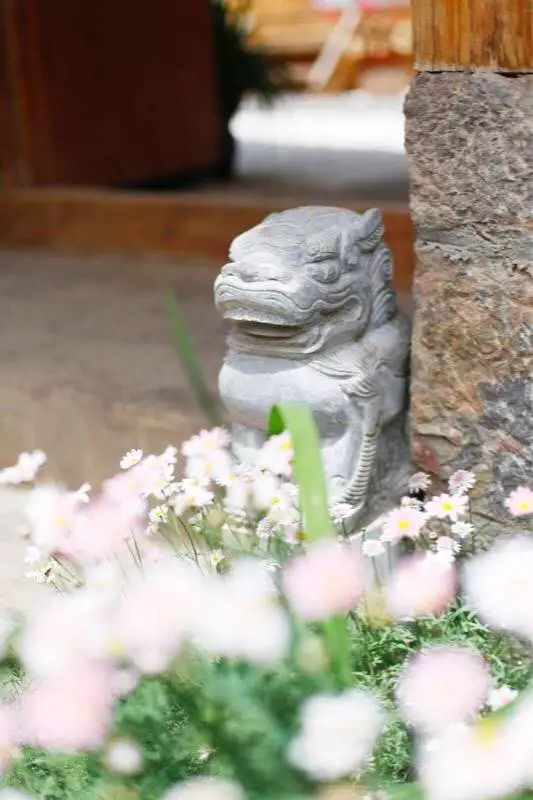 花田月舍·五月，最好的年紀找到內心的歸屬感