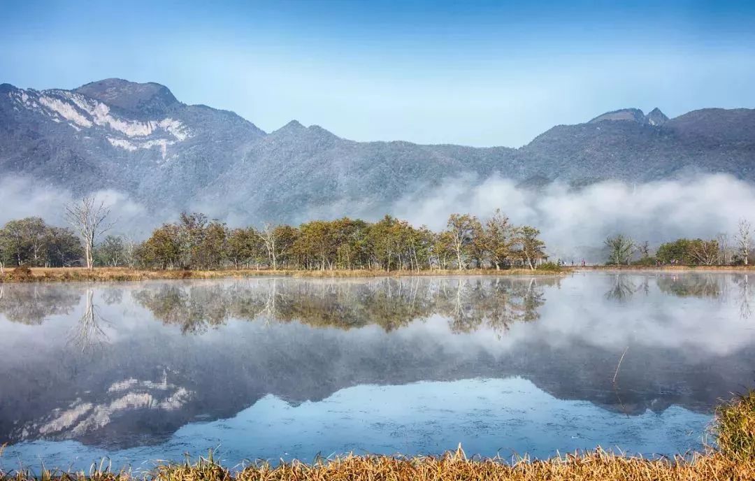 西顧·望城山居，闖入仙境等待一場花開的心動(dòng)