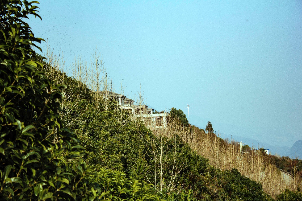 西顧·望城山居，闖入仙境等待一場花開的心動