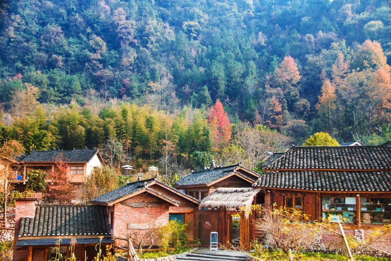 張家界·五號山谷，山谷在重生！