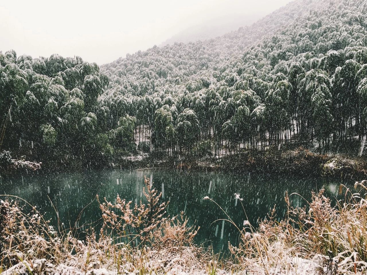 莫干山·玖悅度假酒店，沉浸在風(fēng)景里